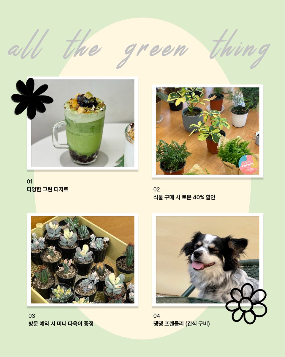 폿𝚙𝚘𝚝 (@plant_objet_tip) on Twitter photo 