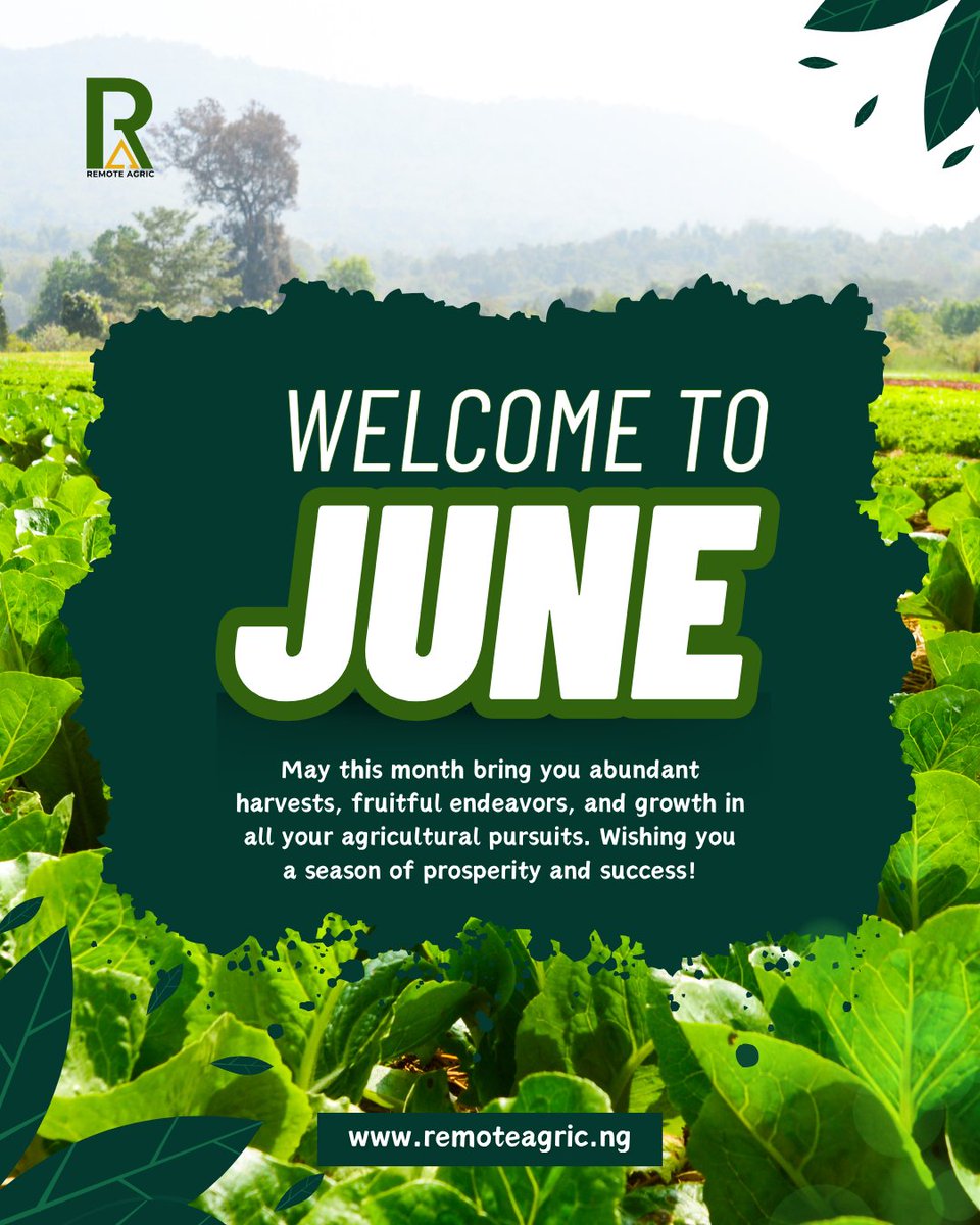 RemoteAgric's tweet image. Welcome to June!🍀
May this month bring you abundant harvests, fruitful endeavours and growth in all your agricultural pursuits.✨

#remoteagric #agriculture #fyb #explore #agricinvestment #yamfarming #pigfarming #happynewmonth #June2025 #explorepage