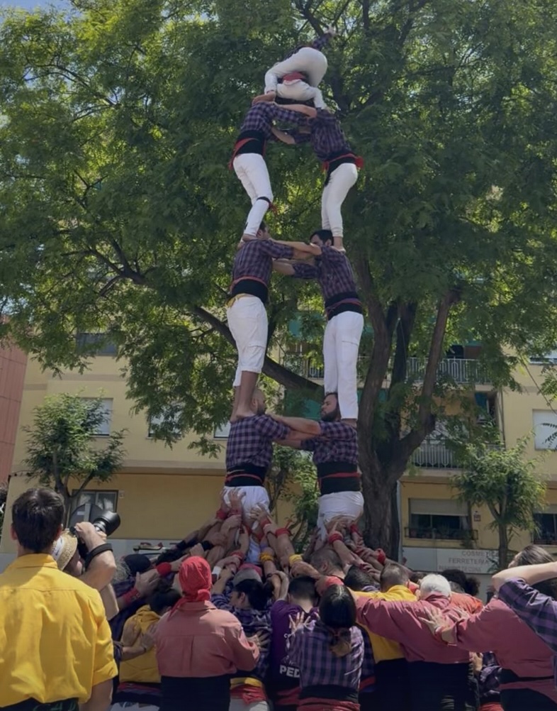 Novetats al Baròmetre:
✅Capgrossos
✅Joves
✅Jove
✅Marrecs
✅Xics
✅Sagals
✅Nens
✅Xiquets
✅Mollet
✅Santpedor
✅Mediona
✅Cambrils
✅Riberal
✅Adroc
✅Bous
✅B. Montseny
✅Xiqüelos
✅Madrid
✅Santa Coloma
👉 revistacastells.cat/2025/06/movime…
#castells #castellers