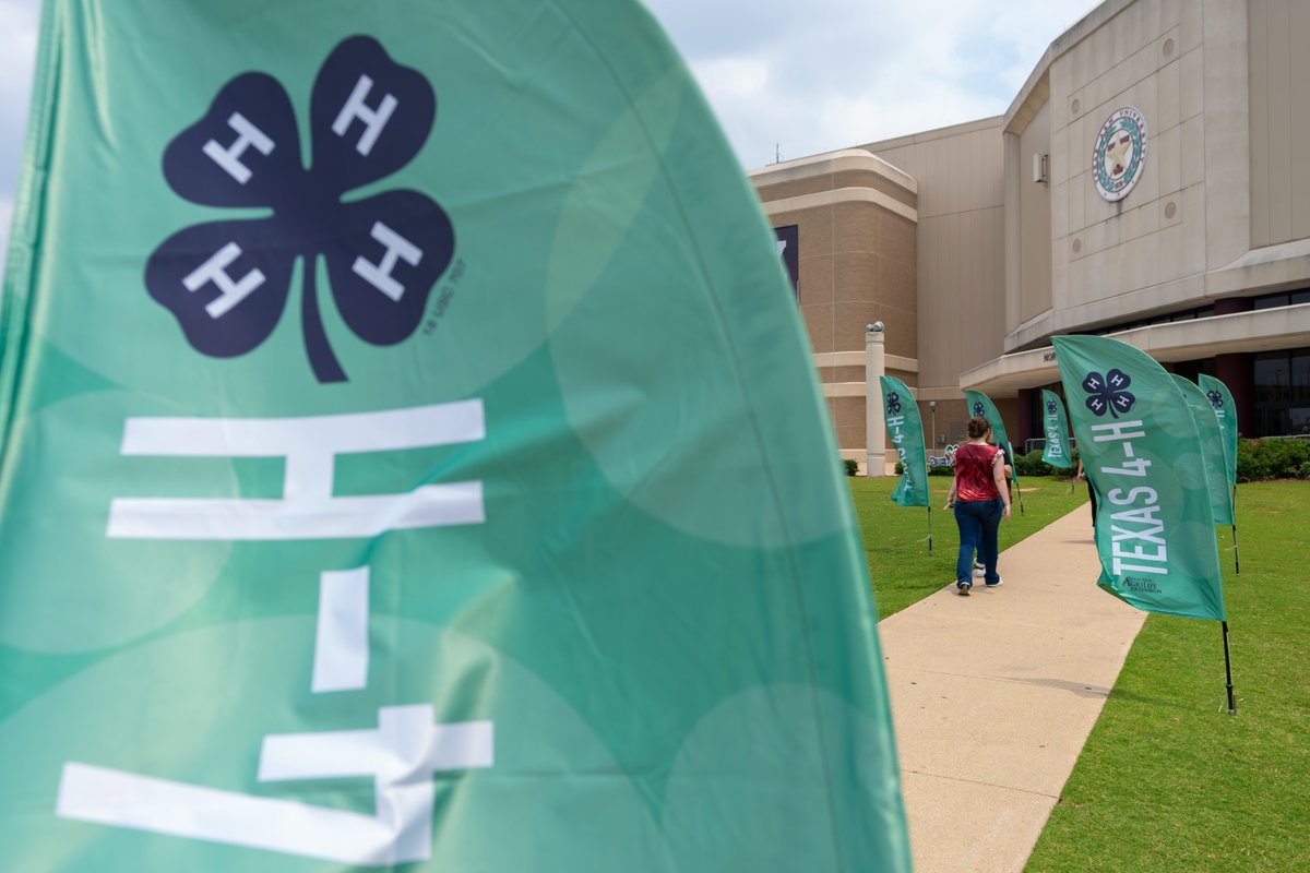 Texas A&M AgriLife Extension Service (@txextension) on Twitter photo Welcome to Texas 4-H Roundup, 4-Hers! We want to wish good luck to those competing and encourage those who aren’t to fill their schedules with all the opportunities this great program has to offer this week. Make sure you keep an eye on <a href="/Texas4H/">Texas 4-H</a> for updates! Welcome to Texas 4-H Roundup, 4-Hers! We want to wish good luck to those competing and encourage those who aren’t to fill their schedules with all the opportunities this great program has to offer this week. Make sure you keep an eye on <a href="/Texas4H/">Texas 4-H</a> for updates!