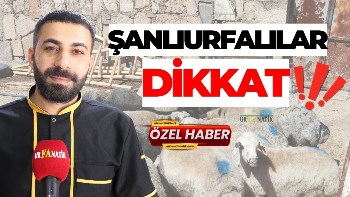 Urfanatik.com (@urfanatik_com) on Twitter photo Şanlıurfalılar Dikkat! Kurban Bayramı’nda Bu Hataya Düşmeyin
Özel haber: <a href="/Ahmettdurmus63/">Ahmet Durmuş</a>
urfanatik.com/sanliurfalilar…
#sanliurfa #sondakika #kurbanbayramı Şanlıurfalılar Dikkat! Kurban Bayramı’nda Bu Hataya Düşmeyin
Özel haber: <a href="/Ahmettdurmus63/">Ahmet Durmuş</a>
urfanatik.com/sanliurfalilar…
#sanliurfa #sondakika #kurbanbayramı
