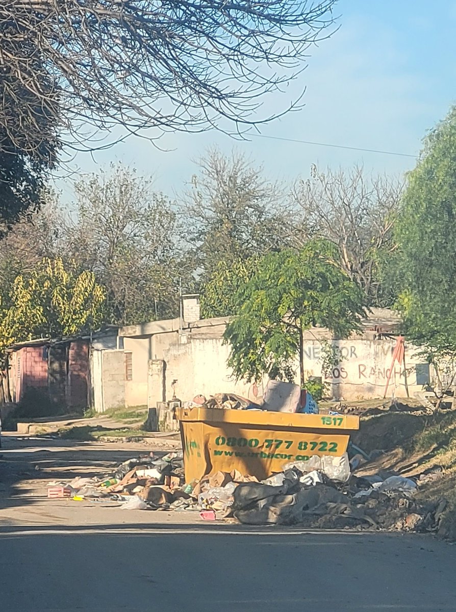 Bel Panichelli tweet media