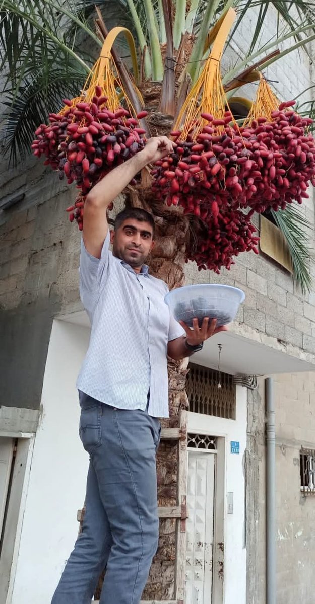 a7medlu's tweet image. إن العين لتدمع وإن القلب ليحزن وإنا على فراقك يا أبو حمزة لمحزونون.
الصاحب العزيز والحبيب سمير لبد شهيداً بإذن الله على أرض الشمال الحبيبة.
بيسوى طابور زلم من أمة مخصية
الله يتقبلك ويرضى عليك ياجراح