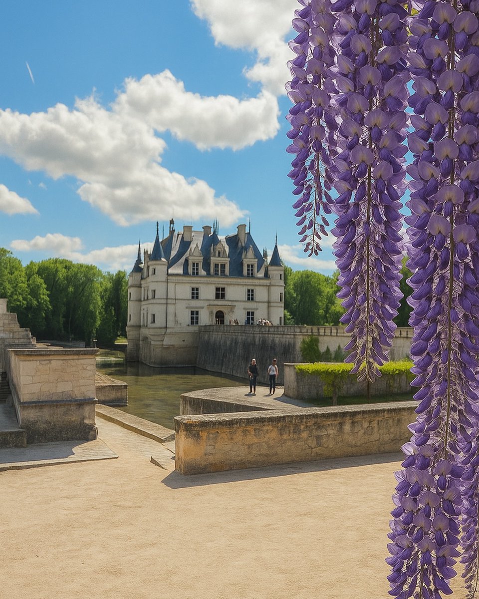 My Loire Valley (@myloirevalley) on Twitter photo Chenonceau magnifié par les glycines en fleur 🌸🍃🏰
Merci à <a href="/sohakouraytem/">Soha K Bizri</a> pour cette photo fleurie ! 🧡
#chenonceaucastle #chateau #myloirevalley #tourisme #chenonceauchateau Chenonceau magnifié par les glycines en fleur 🌸🍃🏰
Merci à <a href="/sohakouraytem/">Soha K Bizri</a> pour cette photo fleurie ! 🧡
#chenonceaucastle #chateau #myloirevalley #tourisme #chenonceauchateau