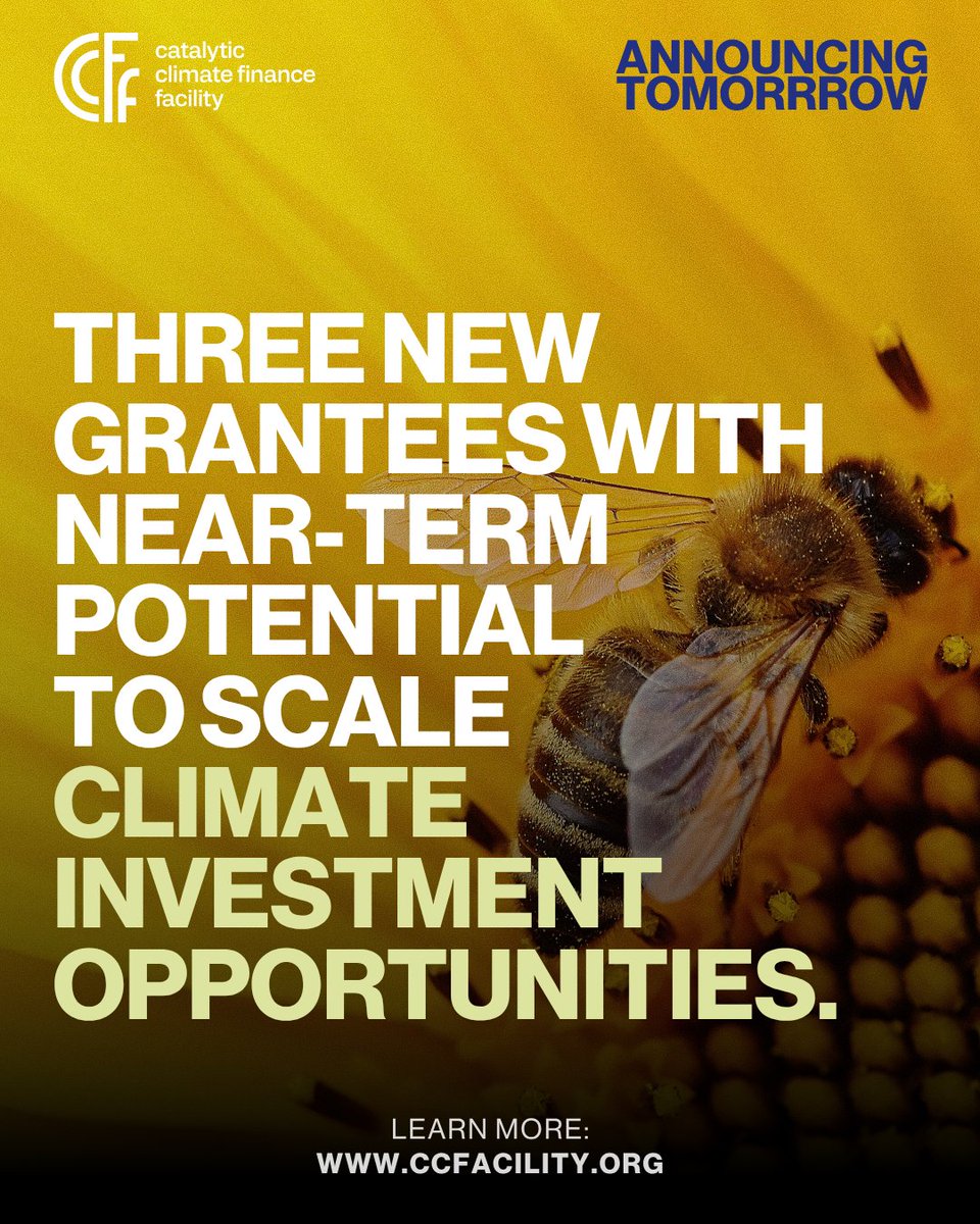 Catalytic Climate Finance Facility tweet media