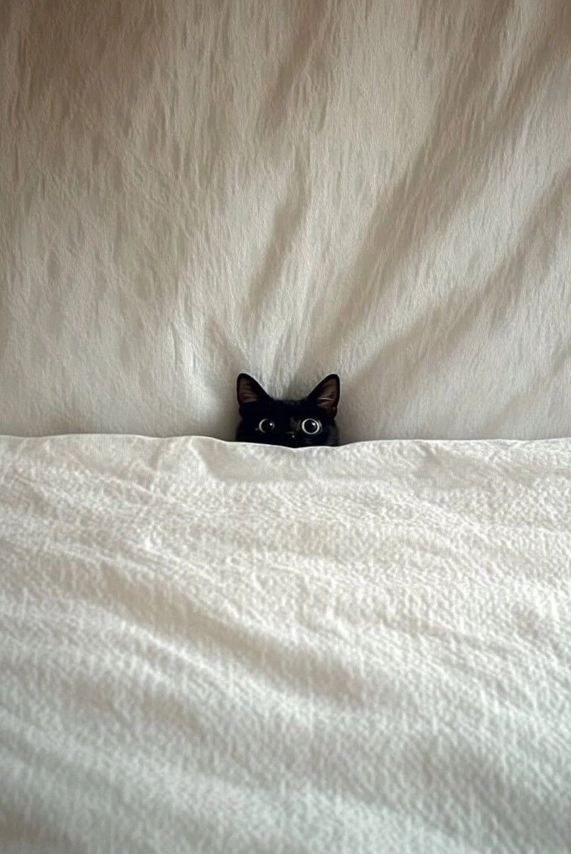 Lindy112233's tweet image. Oh noooo! 
Is it #Monday already? 
#GoodbyeWeekend