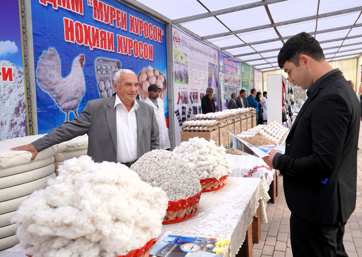 Celebrating market-driven growth in Tajikistan 

From 2023-2025, the USAID-funded Employment and Enterprise Development Activity (EEDA) set out with a bold vision: to unlock Tajikistan’s economic potential through private sector-led growth, job creation, and sustainable