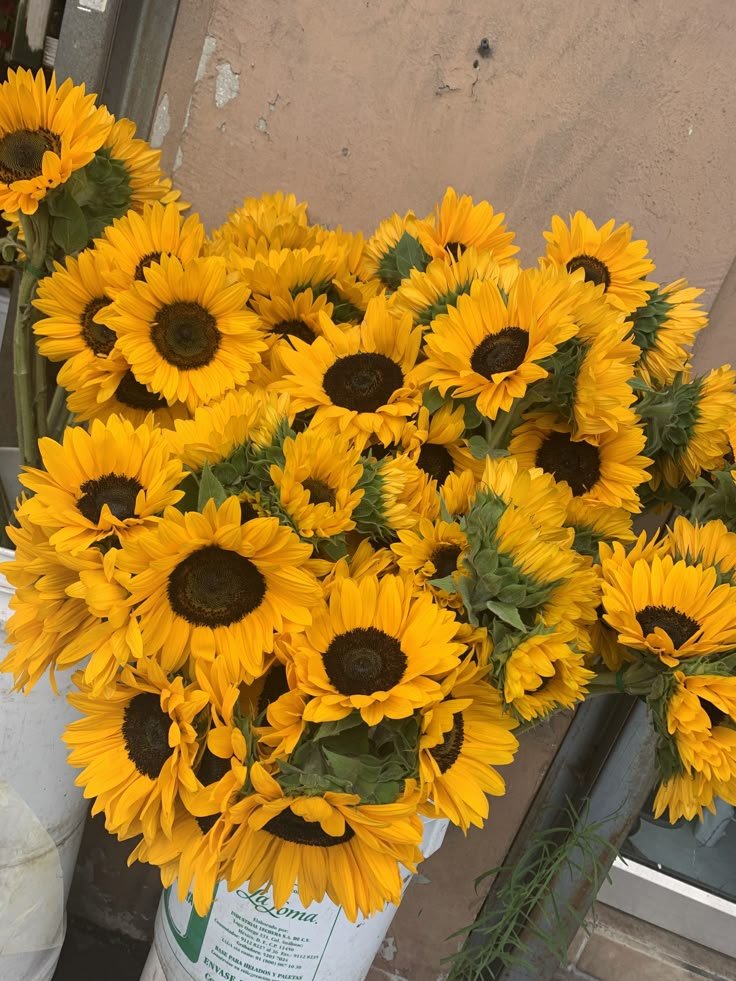 SUNFLOWER 🌻 (@sunflowerchives) on Twitter photo 