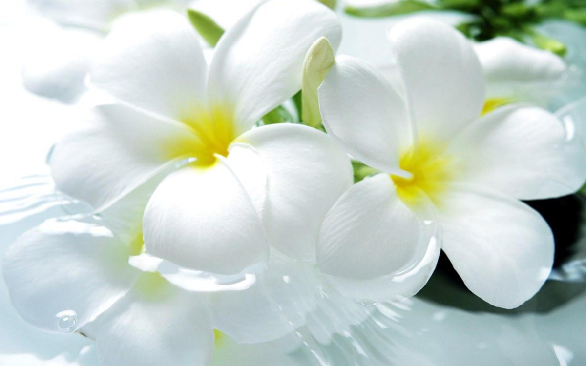<a href="/Ansupers/">Анастасия</a> <a href="/Alisa550055/">Алиса</a> <a href="/glamour__fifa/">Нэнси</a> <a href="/santairis_/">Ириска</a> <a href="/nina__moya/">Нина Лебедева</a> <a href="/ledi__briz/">Алина Голубкова</a> <a href="/Irina__Grad/">Ирина Градова</a> <a href="/ya__chara/">Яна</a> <a href="/alberiniks/">Нина Альбертова</a> <a href="/moyi_angel/">Ангелина</a> <a href="/niguzan/">Нина</a> <a href="/polovinkamoya/">Валентина</a> <a href="/emrekaraman2018/">Emre Karaman</a> <a href="/Valeri_Ladamina/">Валерия Ладамина</a> <a href="/_Nadya_Antipova/">Надежда Антипова</a> <a href="/_Alina_Shilova/">Алина Шилова</a> <a href="/Irina__Razumova/">Ирина Разумова</a> <a href="/Mishel_Lebedeva/">Мишель Лебедева</a> <a href="/BogSuvorova/">Богдана Суворова</a>