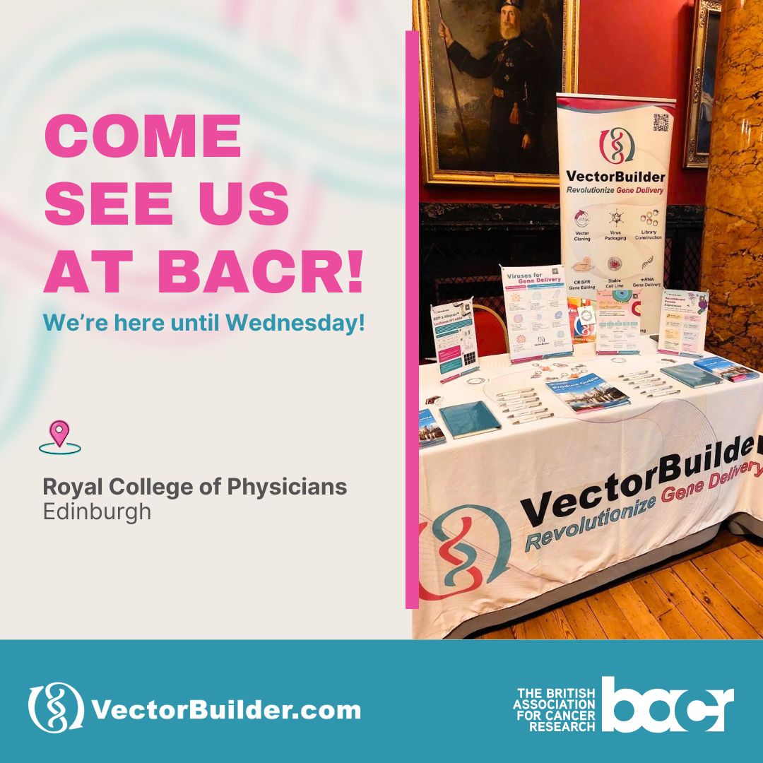 VectorBuilder's tweet image. We’re at #BACR2025 in Edinburgh! 🧬
Catch us at the Royal College of Physicians. We’re here till Wednesday!
Come say hi and learn how we&apos;re revolutionizing gene delivery. 👋

#VectorBuilder #GeneTherapy #CancerResearch