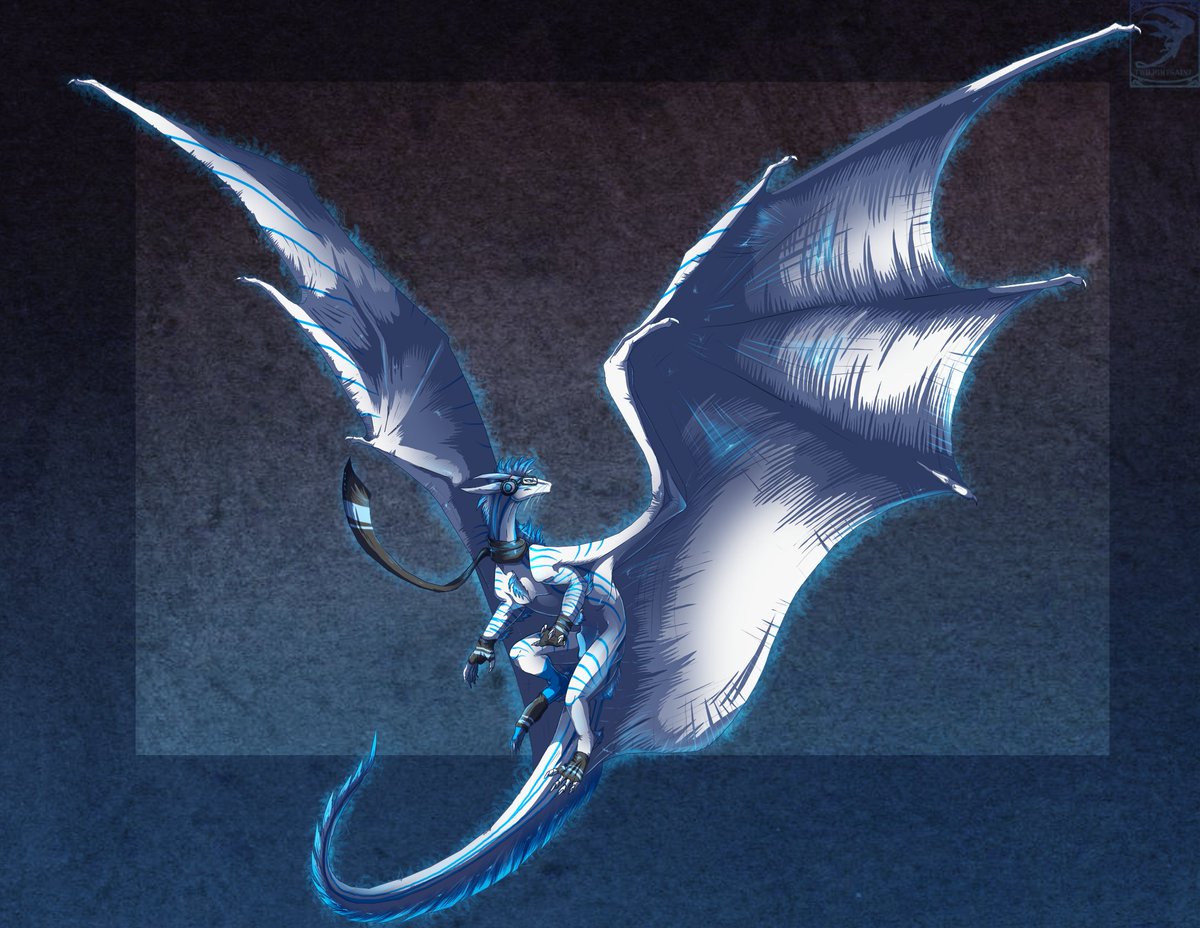 Blue Hasia Photography (@bluehasia) on Twitter photo 