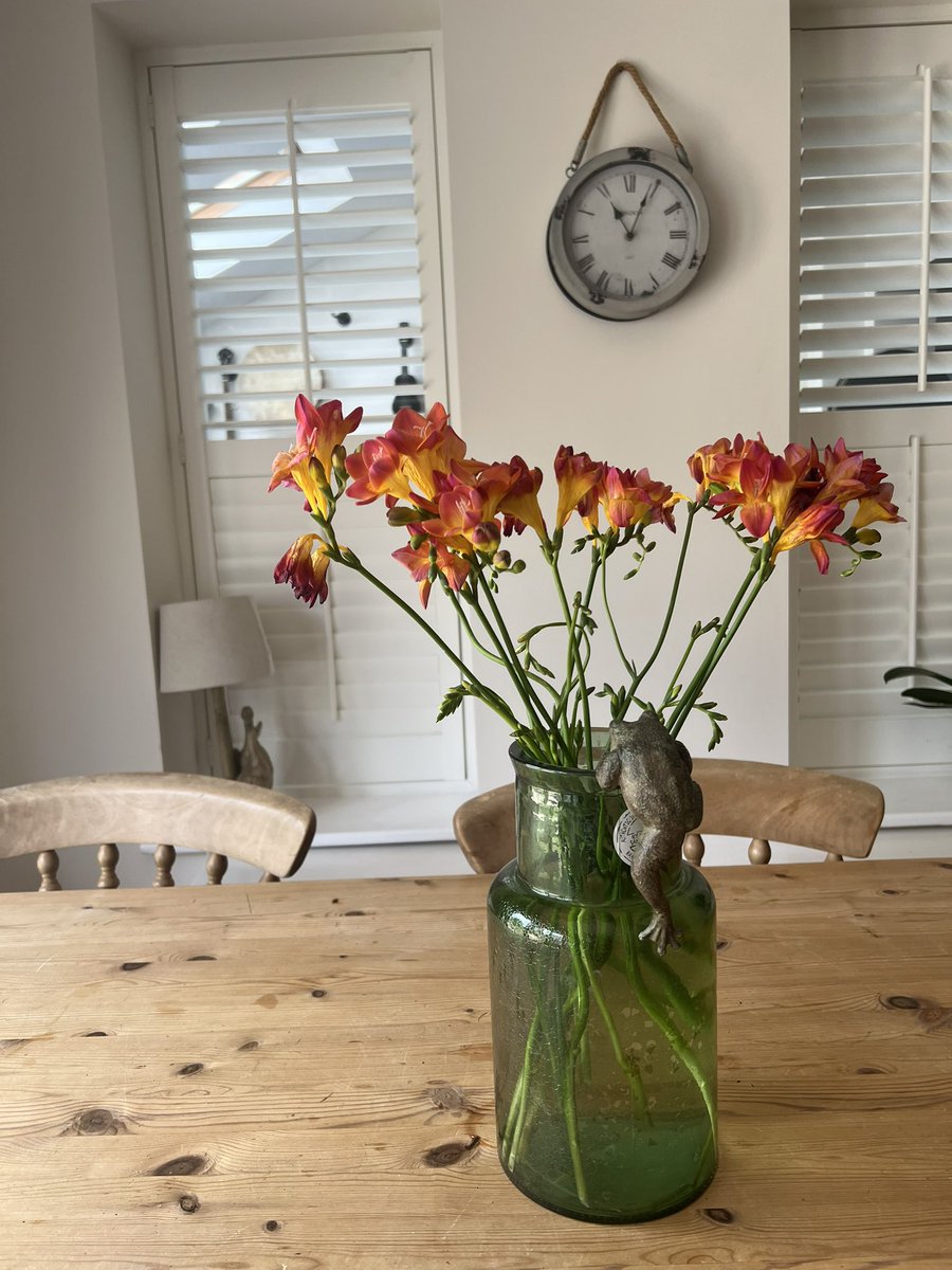 These freesias smell divine. If you are not yet familiar with the bouquet of freesias, do me a favour and go and find some to smell today? Then let me know your thoughts. Divine, no? Agree/disagree? #freesias #bouquet #divine
