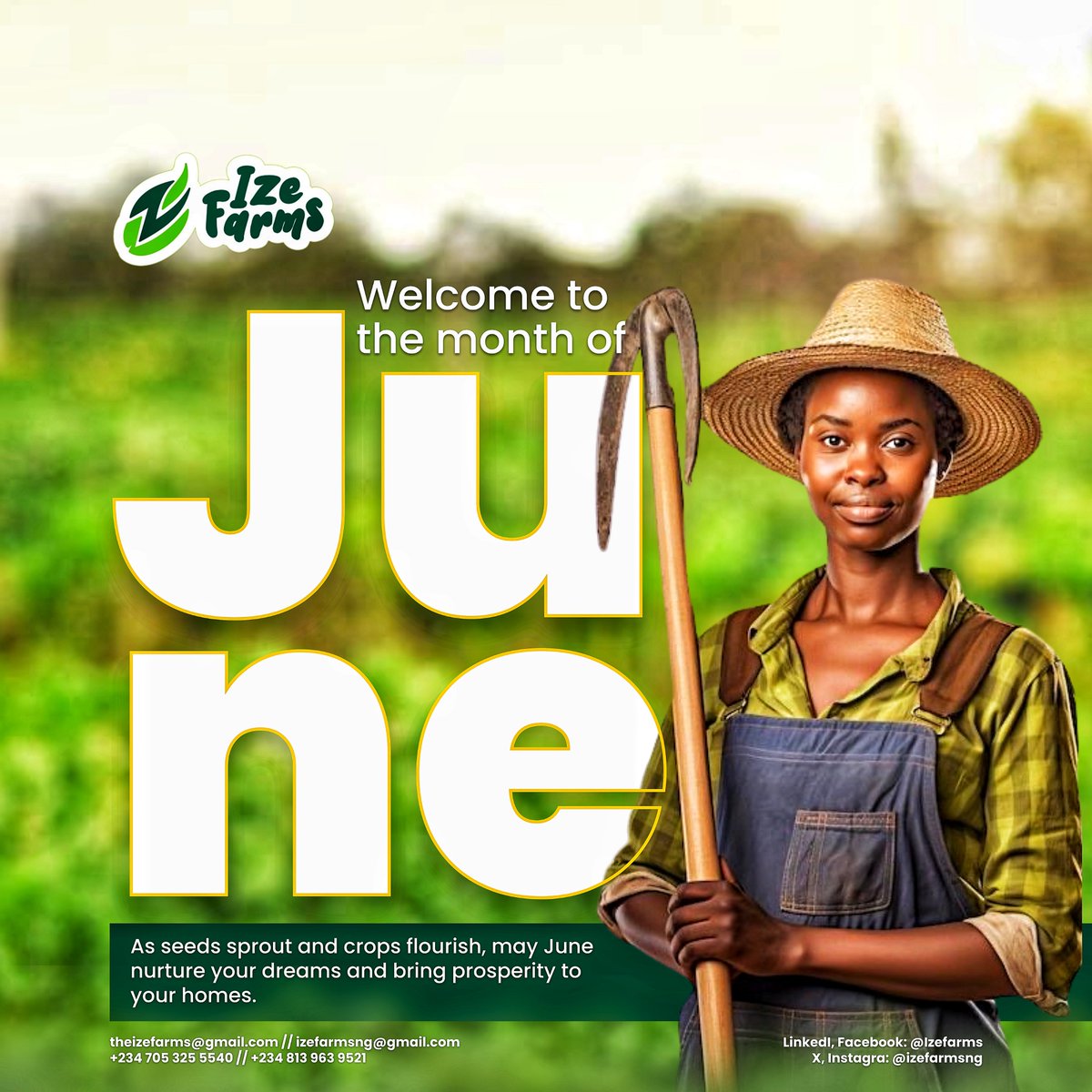 IzeFarmsng's tweet image. Happy New Month from Ize Farms! 🌾

As we step into June, we're reminded that growth starts small — just like the seeds we plant.
This month, we’re rooting deeper, growing stronger, and pushing forward with purpose.
From our team to you💚

#HappyNewMonth #June #IzeFarms