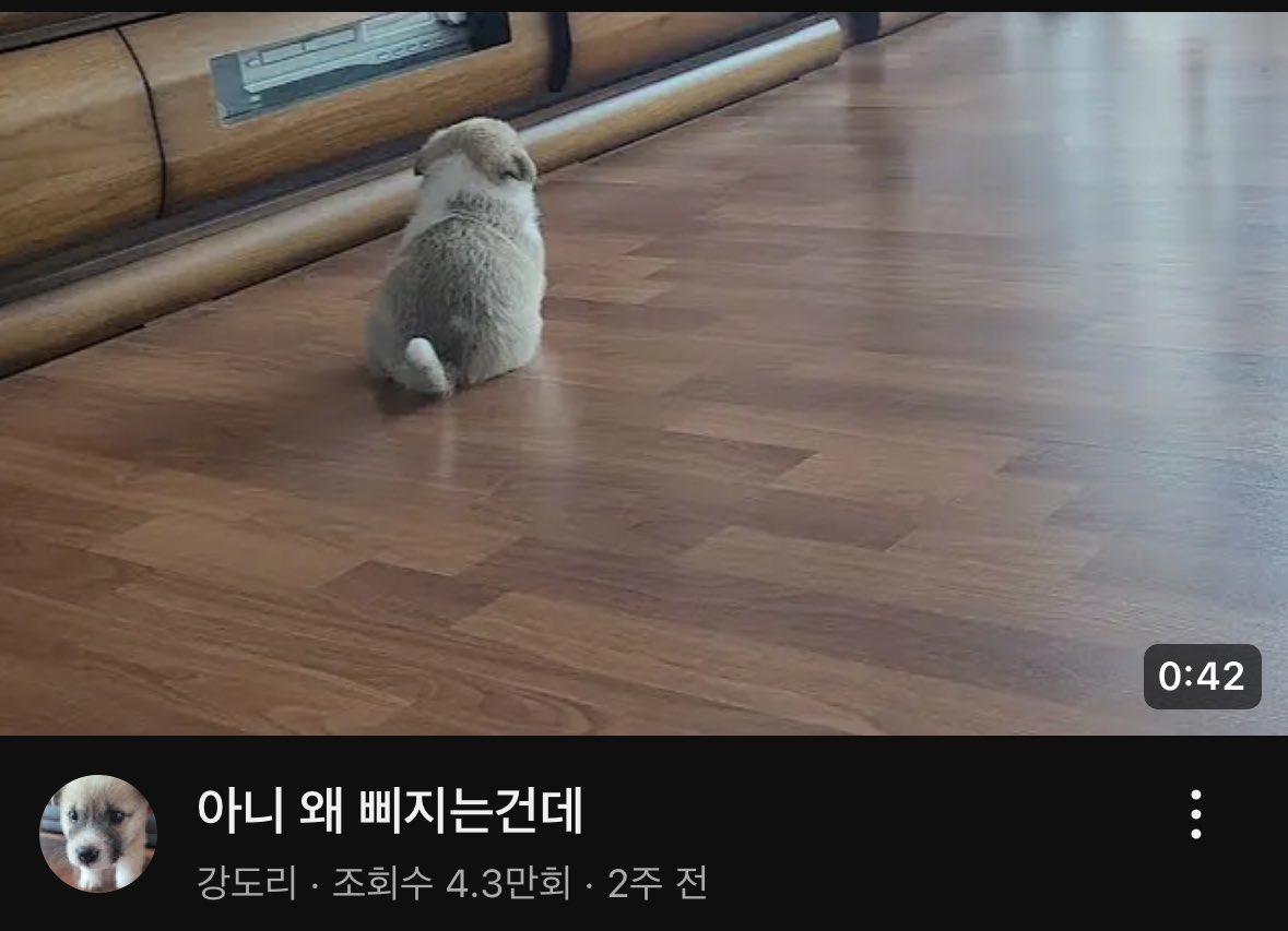 녀석이 온뒤로 곤도씨도 나같은건 신경도 안쓴단말이에요. 질렸어. 나 도장 가기싫어요.