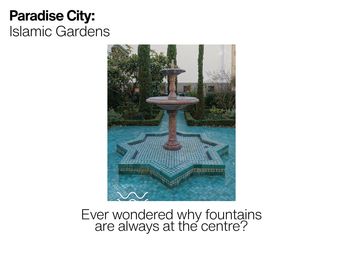 Muslims in Public Space—MiPs tweet media