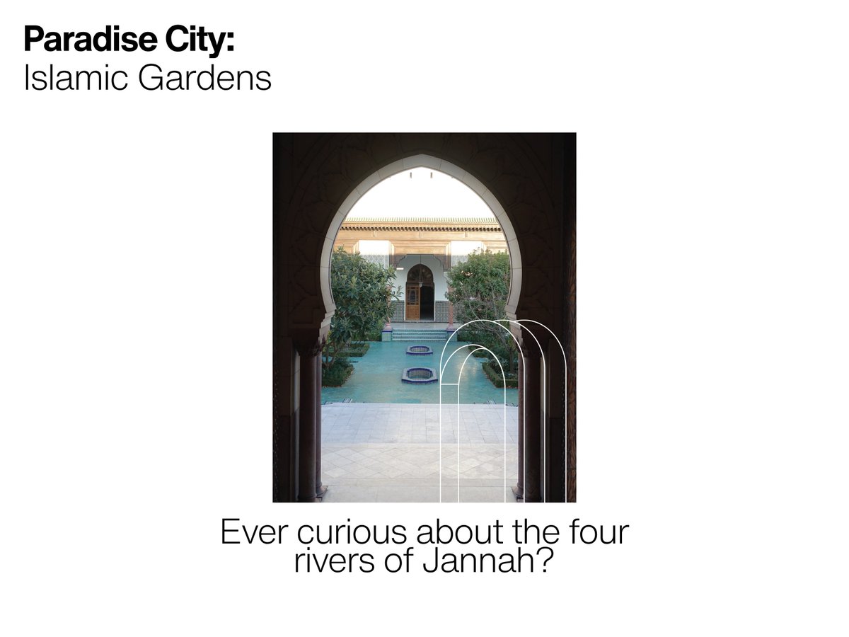 Muslims in Public Space—MiPs tweet media