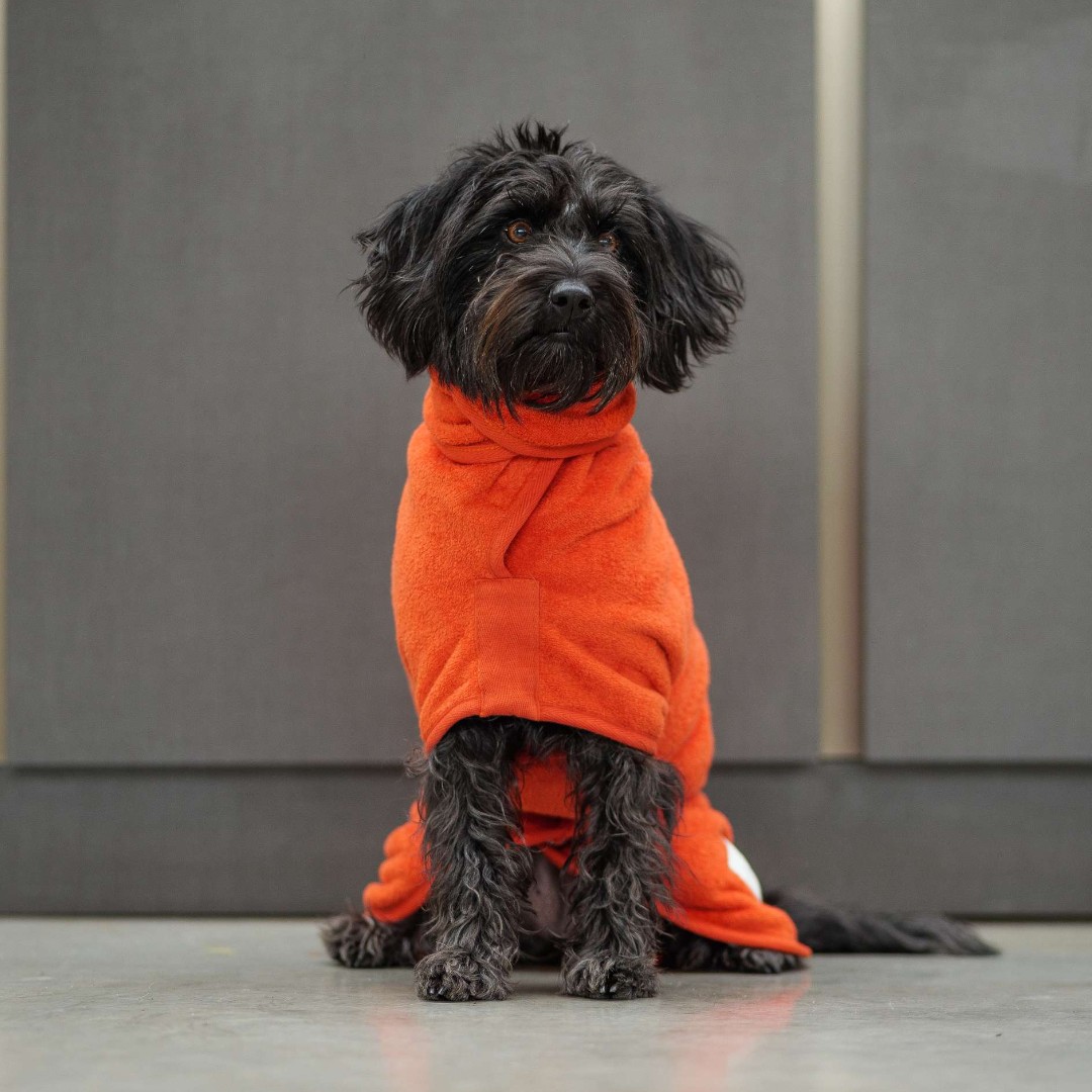 Have you grabbed our Limited Edition Dog Drying Coat yet? It's only available while stocks last, and sizes are running out fast!

#ruffandtumble