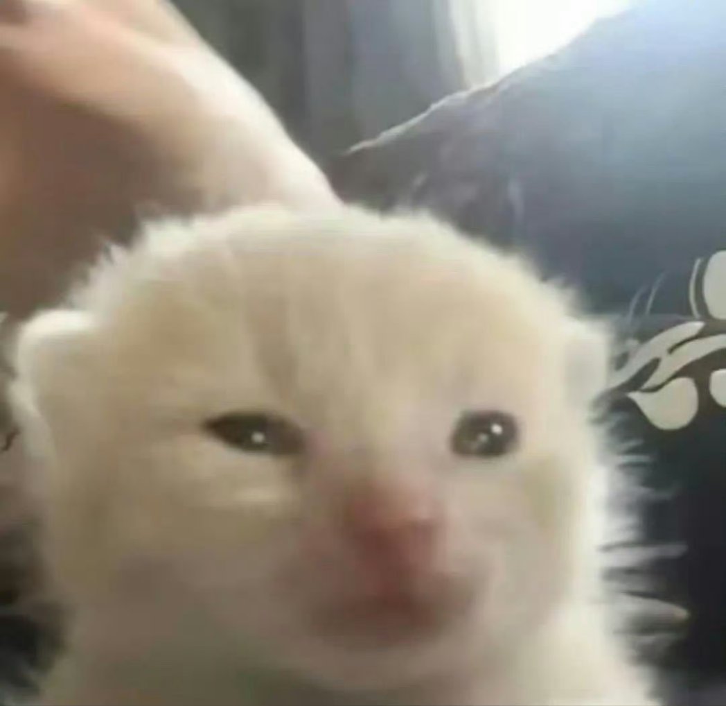 太久没有一天冲2/3次了……
好疲惫，量也好少