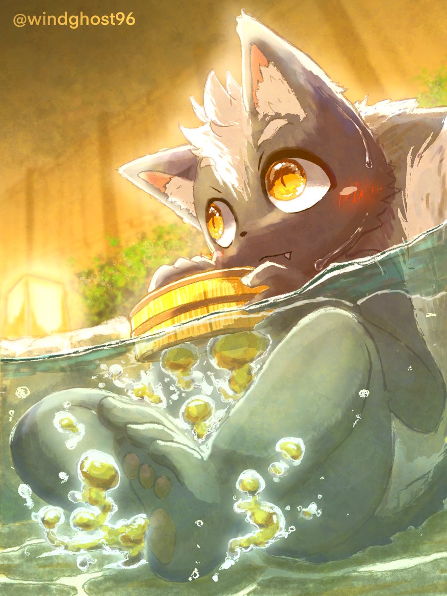 windghost96 tweet picture