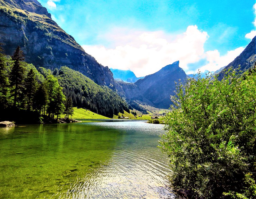 Water, trees, air, biodiversity and nature are the immutable guarantors of all our lives. If we do not respect, protect and value them, we are the ones who do not know how to respect, protect and value ourselves. Life is beautiful and is our responsibility.💚☘️🌱🌿🌳🌲🍀💚