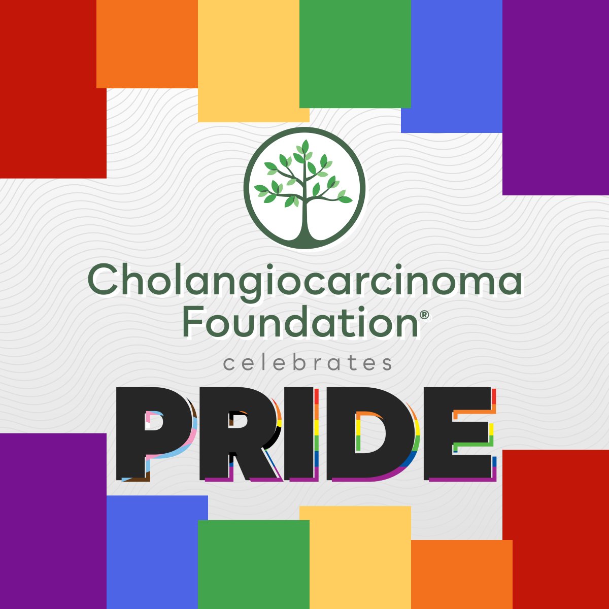 🌈 This Pride Month and always, the Cholangiocarcinoma Foundation celebrates and honors the LGBTQ+ community. 🏳️‍🌈

We recognize that every journey with cholangiocarcinoma is unique, and that different communities may face unique challenges regarding care, support, and information.