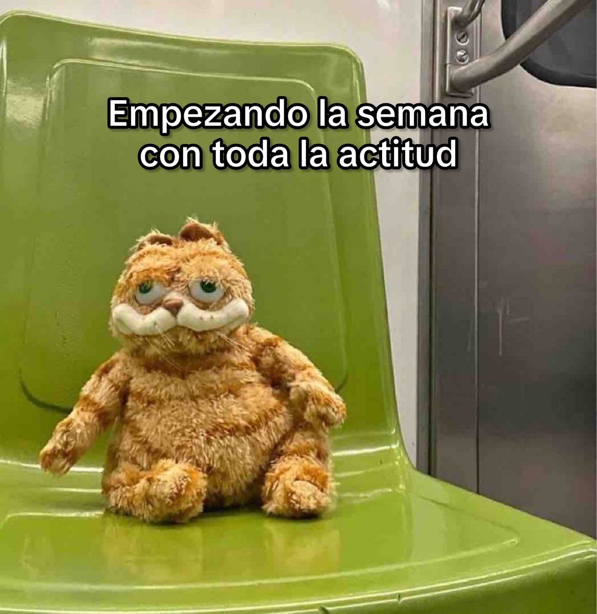 Con toda la actitud.