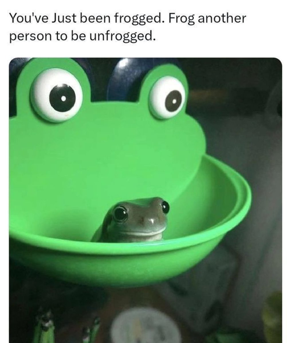 qiqop (@magicp0nzitoken) on Twitter photo 