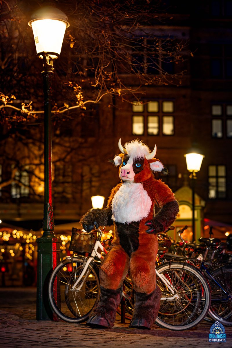 Blue Hasia Photography (@bluehasia) on Twitter photo 