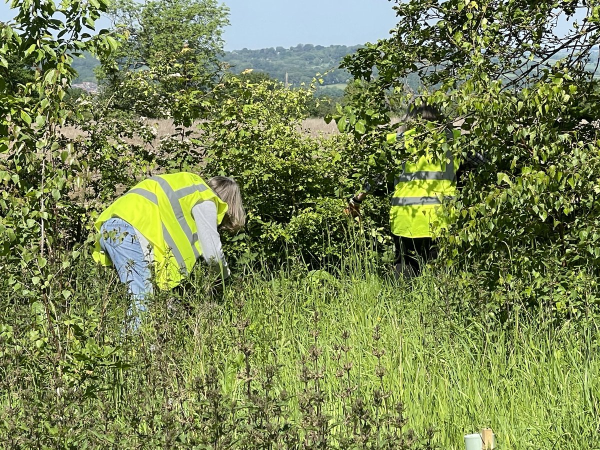 Our next Task Event will be on Saturday 7 June 10.00 - 12.00 noon. We will meet at the Springwood Drive entrance to Chaddesden Wood. Please wear appropriate footwear &amp; clothing and bring gardening gloves if you have them. <a href="/derby_parks/">Derby Parks</a> <a href="/oakwoodderby/">Oakwood Derby</a> <a href="/Natures_Voice/">RSPB</a> <a href="/GreenFlagAward/">GreenFlagAward</a>