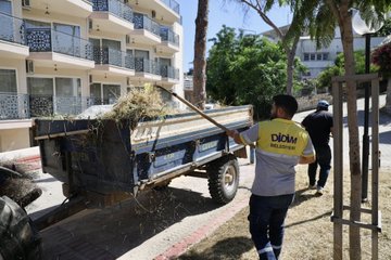 Yeşil alanların bakımı