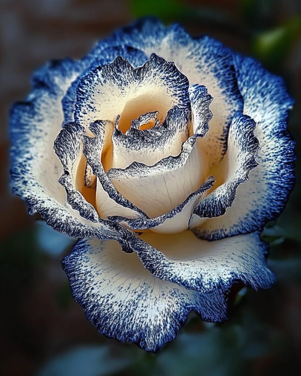 Gorgeous