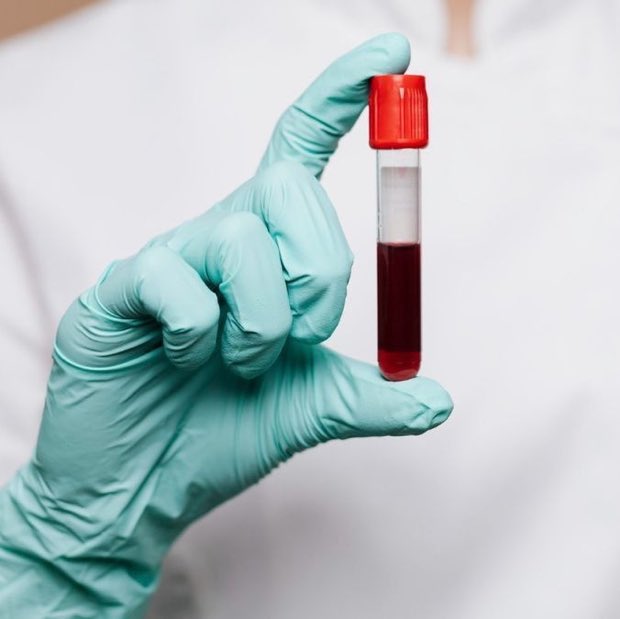 Alerta News 24 tweet media