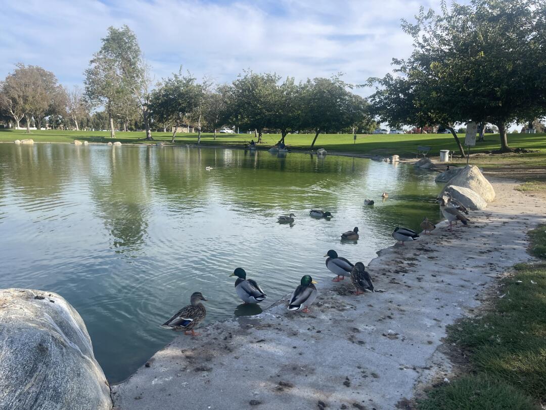 halay100's tweet image. Run out of the house and into the future Every step a love of life!💪🌟 #morningrunmoments