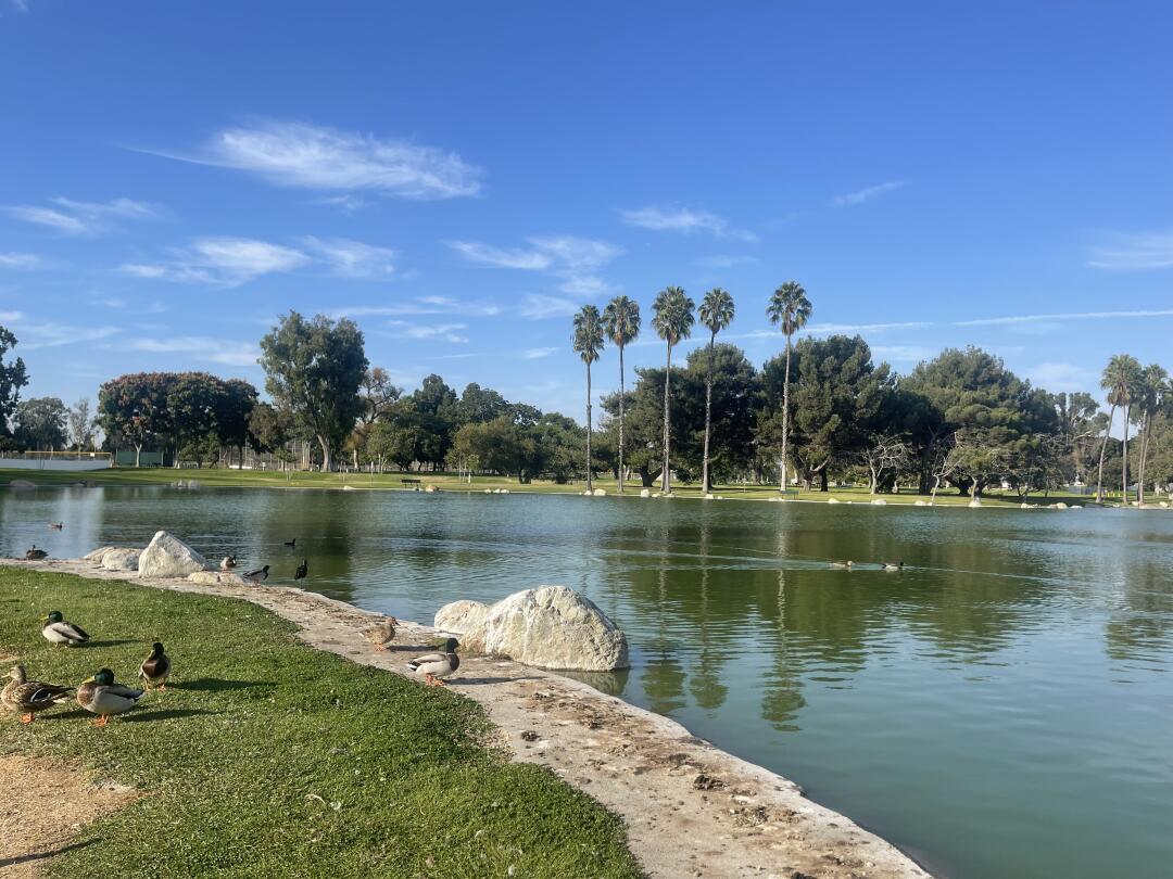 halay100's tweet image. Run out of the house and into the future Every step a love of life!💪🌟 #morningrunmoments