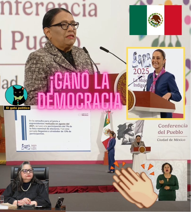 El gato político tweet media