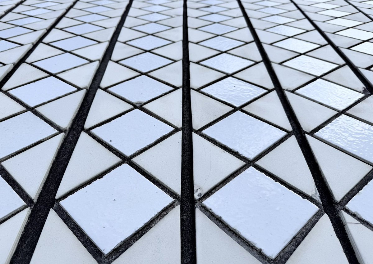 At high magnification one can appreciate the infinite tiles that adorn the Sydney Opera House; digital pathology reveals a similar architecture within glass slides, equally as majestic.

#pathology #digitalpathology #ai #iap #sydney #operahouse #mayoclinic