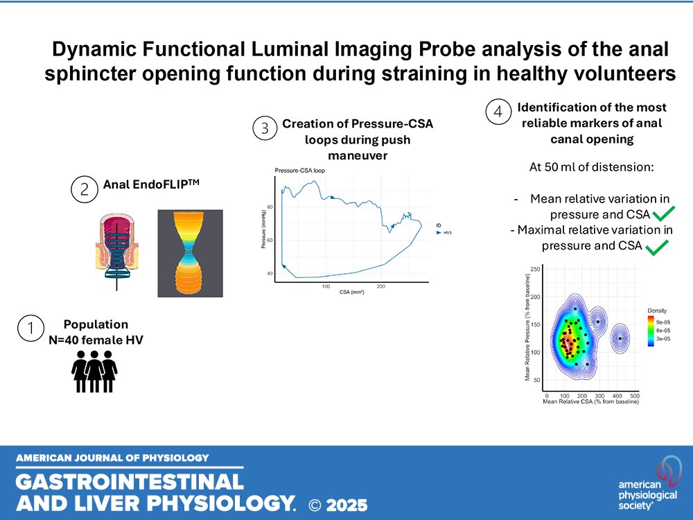 ajpgi's tweet image. New pilot study 🚨! Charlotte Desprez et el. developed a bioinformatics pipeline revealing key markers of anal opening function. Insights await—stay tuned for more research! 

ow.ly/ju7O50VTkPN

 @CHURouen