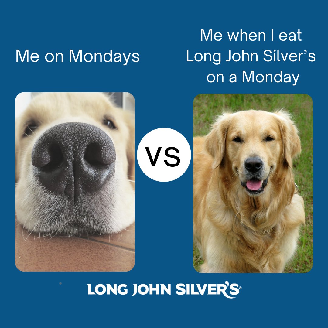 longjohnsilvers's tweet photo. Who says Mondays have to be rough? Brighten yours with a bite from Long John Silver’s! #LJS #VisitLJS #BetterDaysWithLJS https://t.co/O1w0AkkH6H