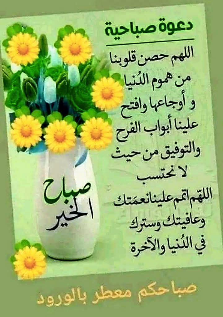محمد منصور tweet media