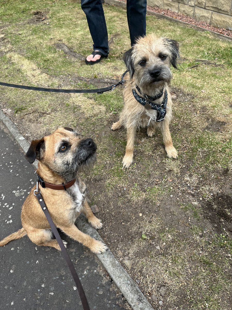 Bracken_the_BT tweet media
