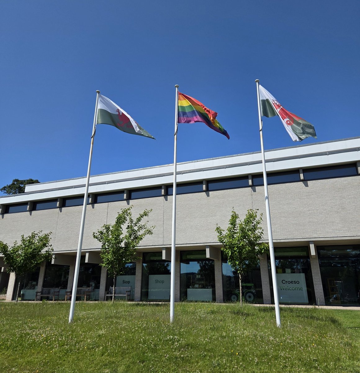 Mis Balchder Hapus / Happy Pride Month