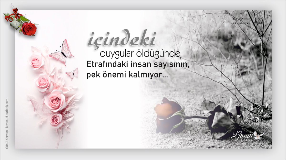 İçindeki duygular öldüğünde, etrafındaki insan sayısının, pek önemi kalmıyor… 🕊️