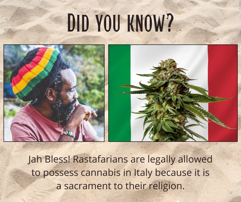thcmed's tweet image. Jah Bless! Rastafarians are legally allowed to possess cannabis in Italy because it is a sacrament to their religion. 
#didyouknowfacts #facts #weedknowledge #jahbless #rastafarians #italy #sacrament #cannabis #smokeweedeveryday #thc #mmj #thcmed #trichomehealthconsultants