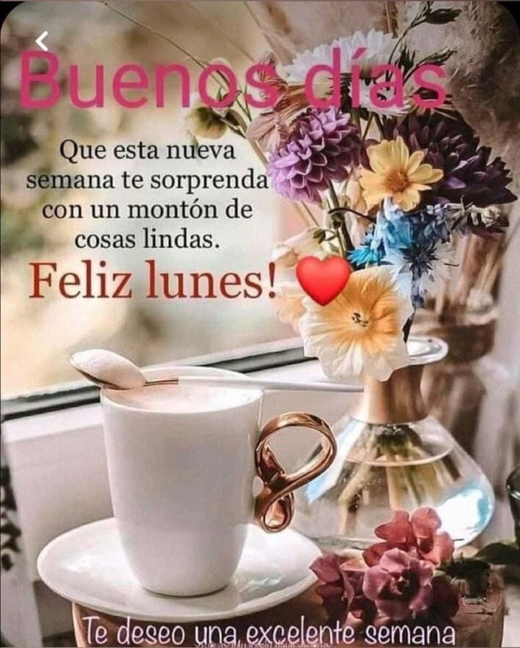 RicardoMilagros's tweet photo. @juansanjurjo6 @jpeguerop @ceciliamatosb @MVirginiaSegura @JoselineConcep3 @FranklinPe15821 @elviejomode @marianaalmonte @MariaElena1760 @ThelmoLozano1 @RamnRosario9 @EvelinPlacidoAl @donmarcelino0 @JosedeJ67713629 @JennyRogers1310 Buenos días @juansanjurjo6 @MVirginiaSegura @cencarnacion68 @ceciliamatosb @marianaalmonte @olgacabrera6 @JoselineConcep3 @Adonaidamedina @EvelinPlacidoAl @DayaDeCastro @batistajose55 @ThelmoLozano1 @elviejomode @FranklinPe15821 @jpeguerop @RamnRosario9 https://t.co/dCSnsNq3Oz