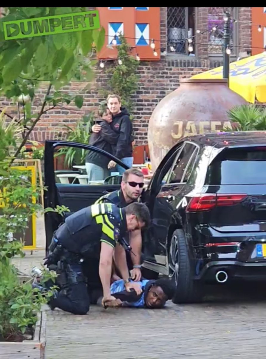 Tanja_M 🇳🇱 tweet media