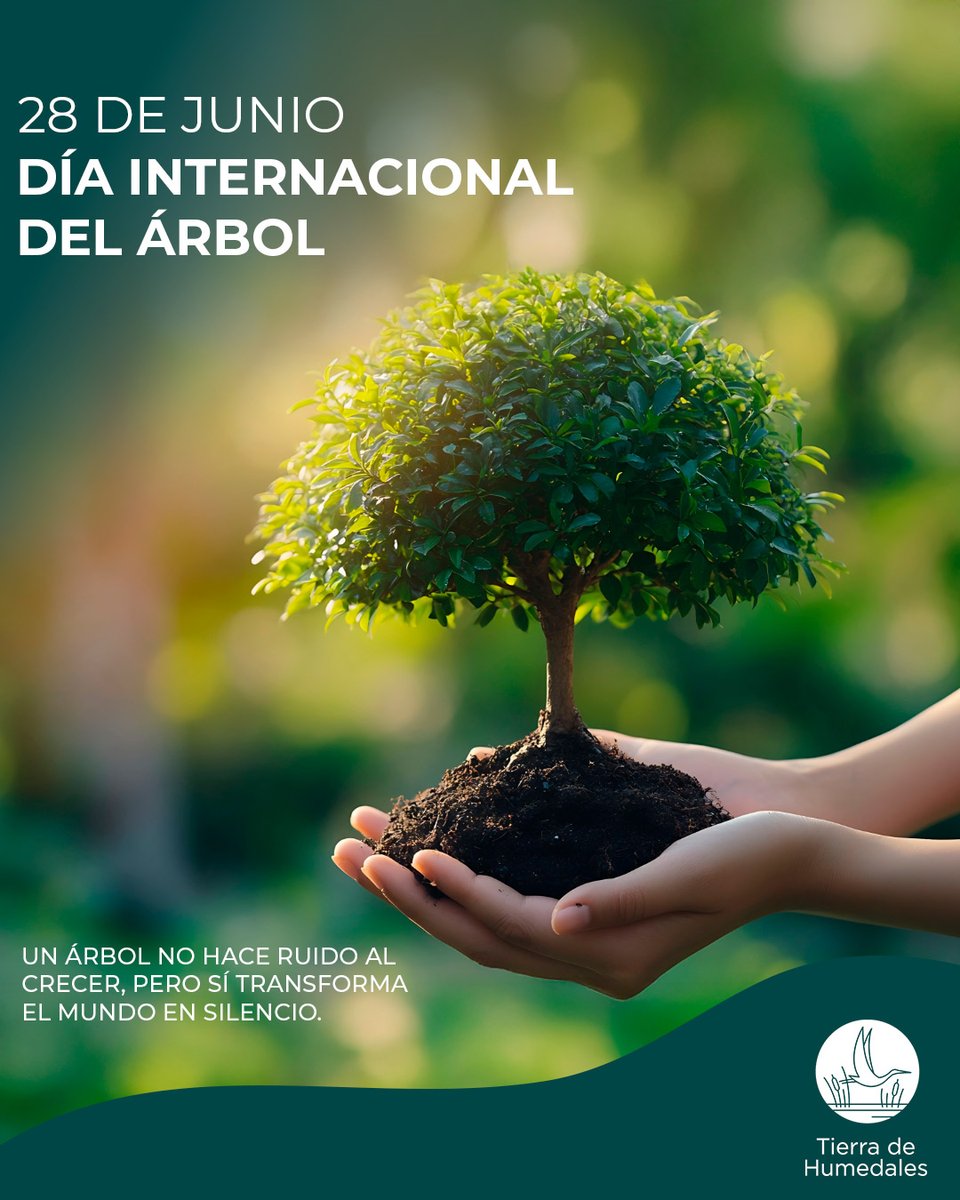 🌳 Hoy celebramos el #DíaDelÁrbol
Purifican el aire, regulan el clima y dan vida.