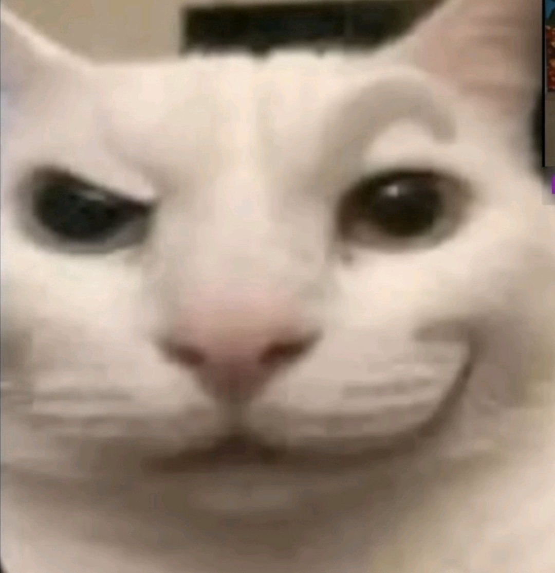 Me when a completely reliable source DMs me offering an investment opportunity that will for sure, make me money (I'm telling them to commit and blocking them again)