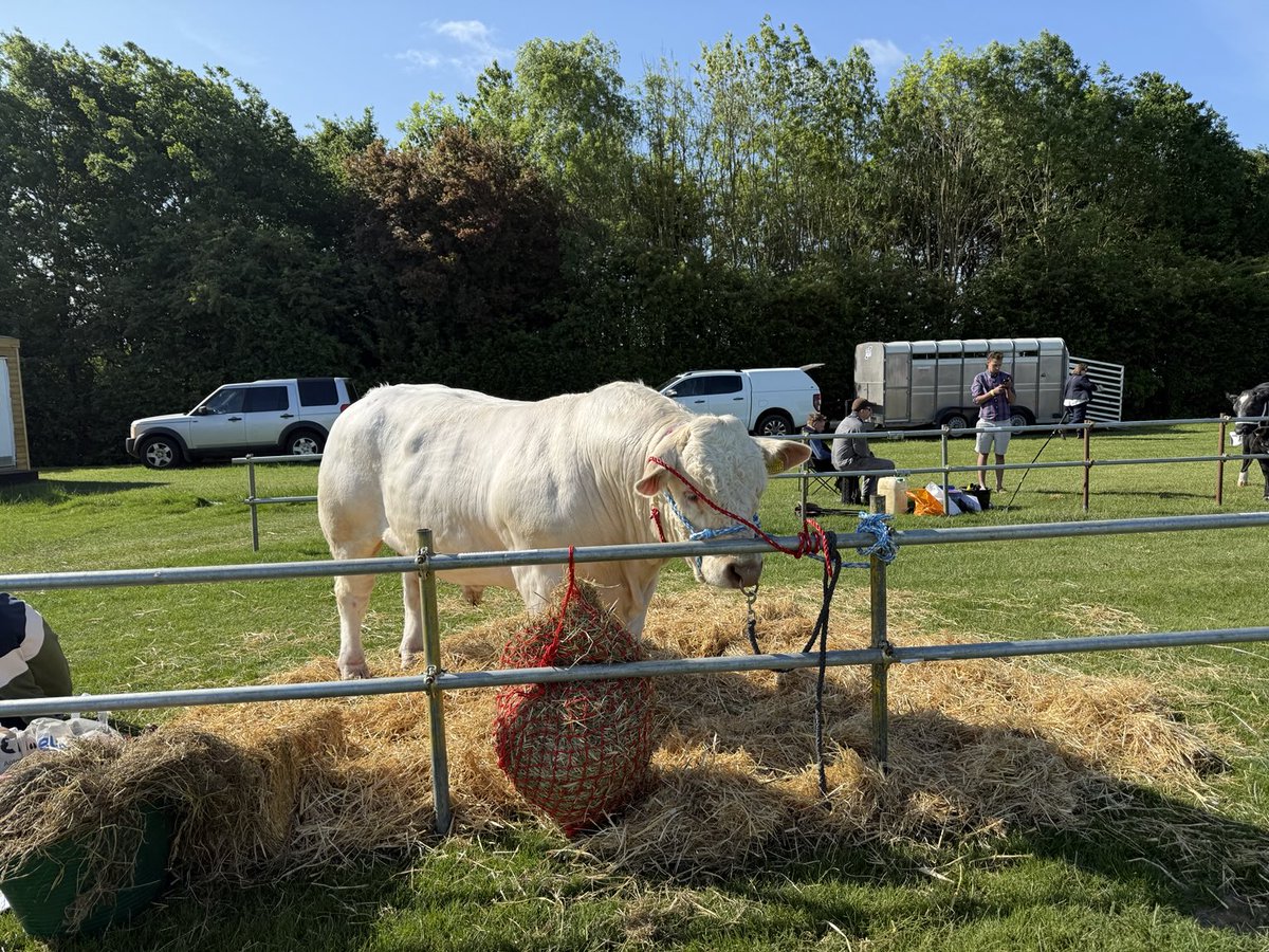 RutlandLL's tweet image. So much to do &amp;amp; see at our wonderful ⁦@RutlandShow⁩ #fairground #stalls selling #country products all sorts of #competitions fun for all ages. Thanks to all who took part and hard work of all organisers. A great day out for all in #Rutland