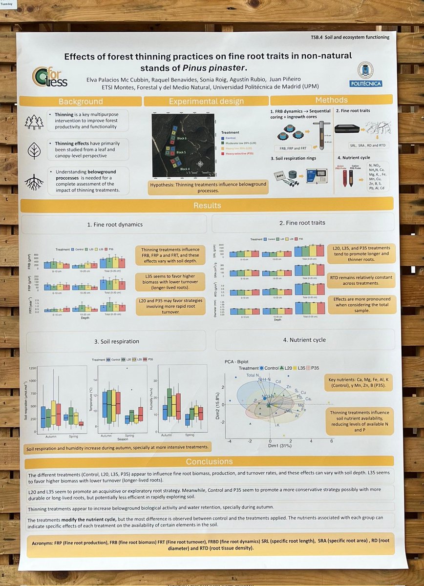SoniaRoigGomez's tweet photo. @elvpmc @MontesUPM @IFA_upm ya está en el congreso @sibecol @_AEET_ con su trabajo sobre el efecto de claras en el suelo en repoblaciones, respiración y prod de raíces. Y si, las claras contribuyen a mejorar la dinámica edáfica... #restauracionecologica #gestionforestal https://t.co/TrxB7Cikw8