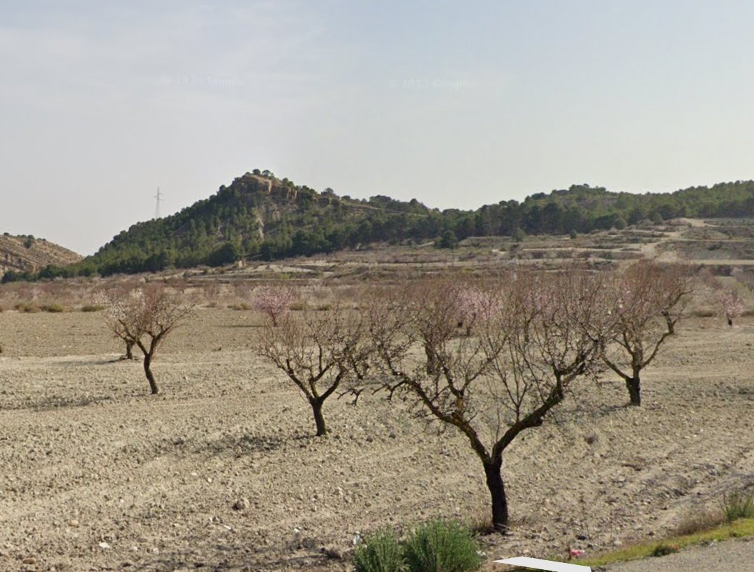 📌 De seguir adelante, sería el mayor bocado urbanístico que  recibe el conjunto de estas sierras en su historia, muy por encima de la urbanización Torreguil. 
Serían 1600 viviendas en un área de campeo de águila perdicera y pared con pared con los límites del Parque